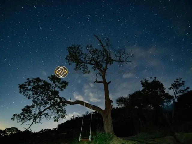 Imagem 6: Sítio à venda em Bueno Brandão ? MG | 20.000 m²