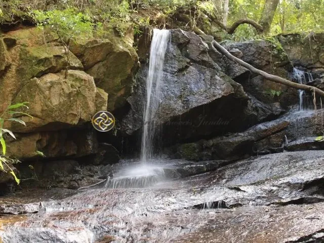 Imagem 13: Sítio à venda em Bueno Brandão ? MG | 20.000 m²