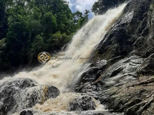 Imagem 10: Sítio à venda em Bueno Brandão ? MG | 20.000 m²