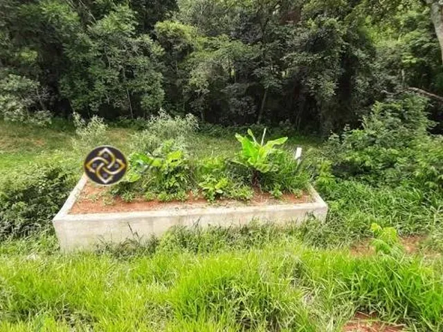 Imagem 3: Sítio à venda em Bueno Brandão ? MG | 20.000 m²