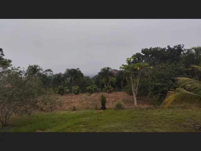 Imagem 8: Vendo Chácara em Professor Jamil 4.000 Metros