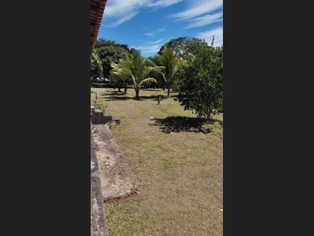 Imagem 13: Vendo Chácara em Professor Jamil 4.000 Metros