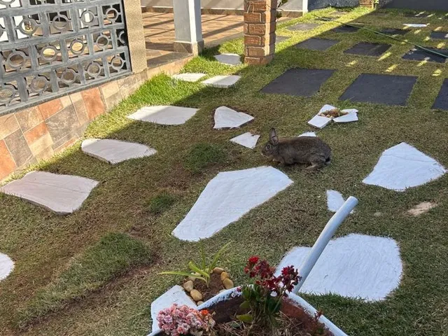 Imagem 3: Casa Residencial À Venda, Nossa Senhora de Fátima, Patos de Minas - Ca0087