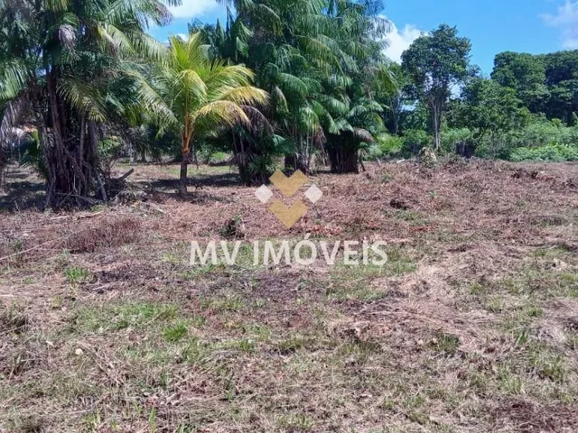 Imagem 6: Terreno À Venda na Alça Viária - Alça Viaria - Acará/Pa