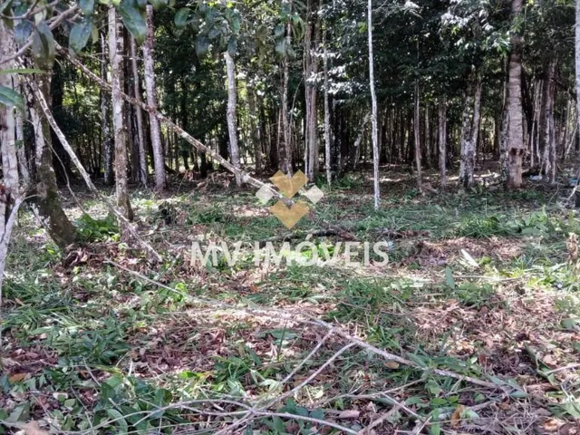 Imagem 14: Terreno À Venda na Alça Viária - Alça Viaria - Acará/Pa