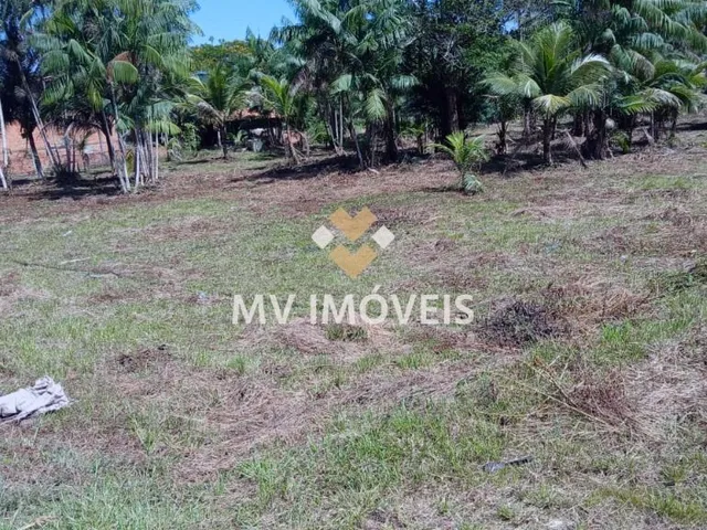 Imagem 8: Terreno À Venda na Alça Viária - Alça Viaria - Acará/Pa