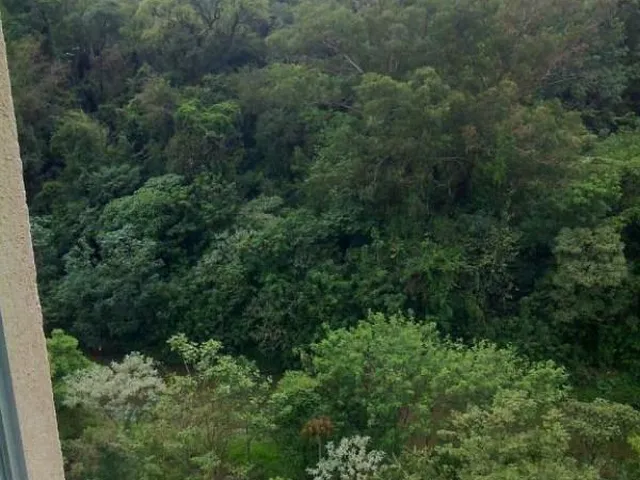 Imagem 4: 0 Apartamento com 2 dormitórios