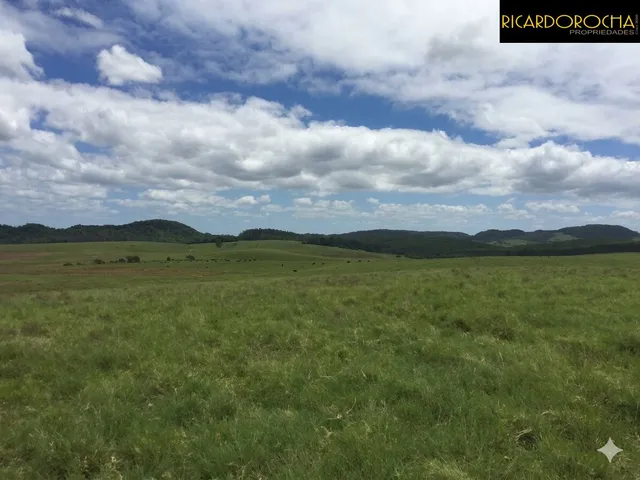 Imagem 4: Fazenda para Agricultura e Pecuária | 1.800 Hectares | Zona Rural -...