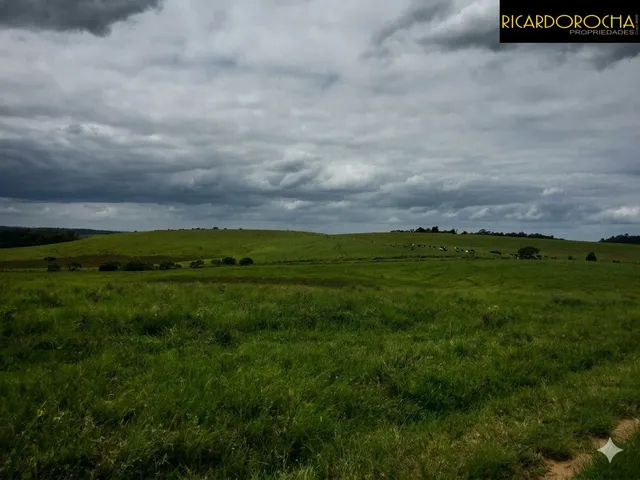 Imagem 2: Fazenda para Agricultura e Pecuária | 1.800 Hectares | Zona Rural -...