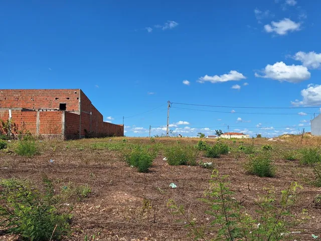 Imagem 6: Terreno Residencial em Bela Cruz - Ceará