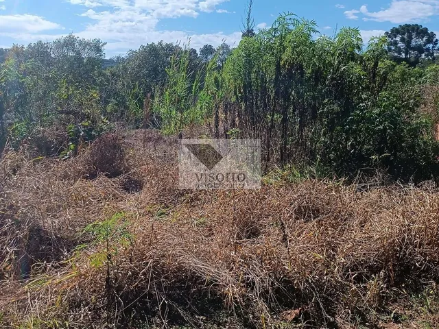 Imagem: Land em Cotia - São Paulo, Caputera