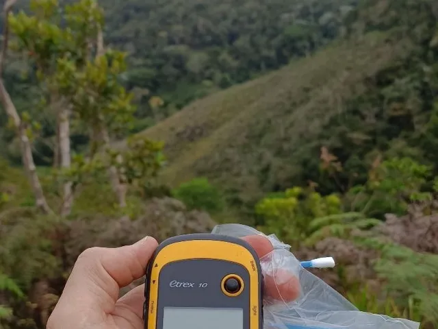 Imagem 2: Chácara à venda em Boa Nova-BA: 0,30 m² de área no bairro X
