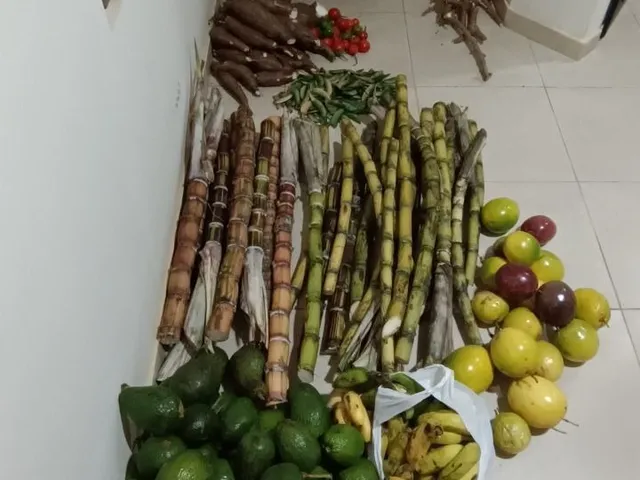 Imagem 10: Chácara à venda em Boa Nova-BA: 0,30 m² de área no bairro X