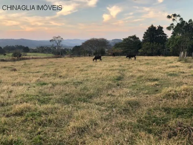 Imagem: Sítio de Luxo para Locação em Campinas-Sp