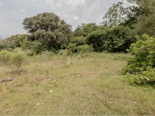 Imagem 10: BVDR 1641 Lote 612521075-18 - BVDR 1641 Lote 612521075-18
