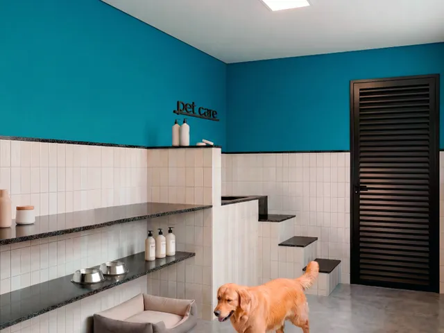 Imagem 3: Ita Living Apartamento com 1 dormitório