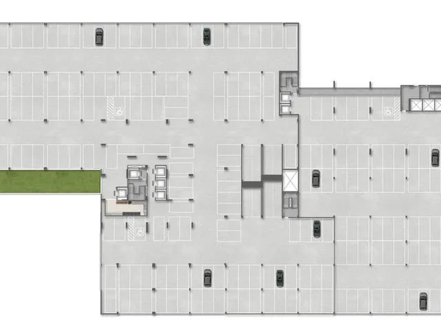 Imagem 3: Raízes - Fase 2