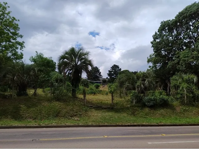 Imagem 2: ADMDTM 1354 Lote 610371030-8 - ADMDTM 1354 Lote 610371030-8