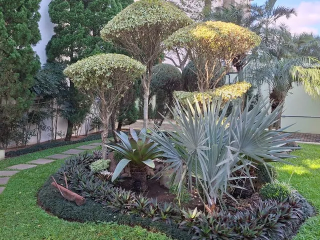 Imagem 4: São Lucas Apto 95408