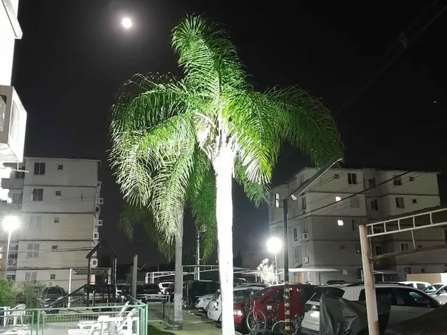 Imagem 5: Jardim Figueira Apto Ca56365674 - Jardim Figueira Apto Ca56365674