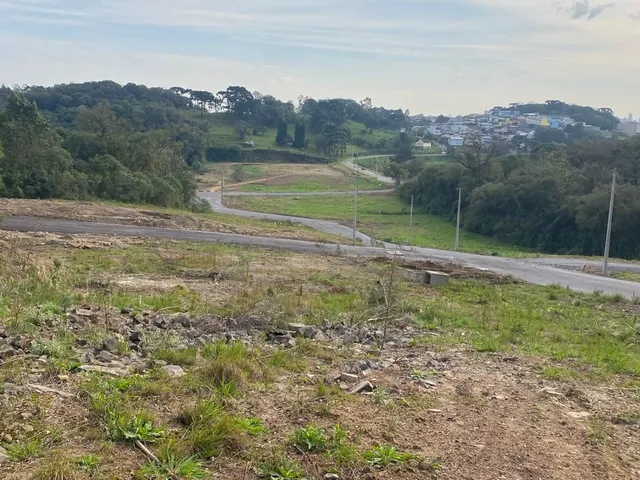 Imagem 6: Província de São Miguel - Província de São Miguel