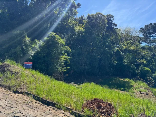 Imagem 11: 0 Terreno / lote com venda por R$155.201