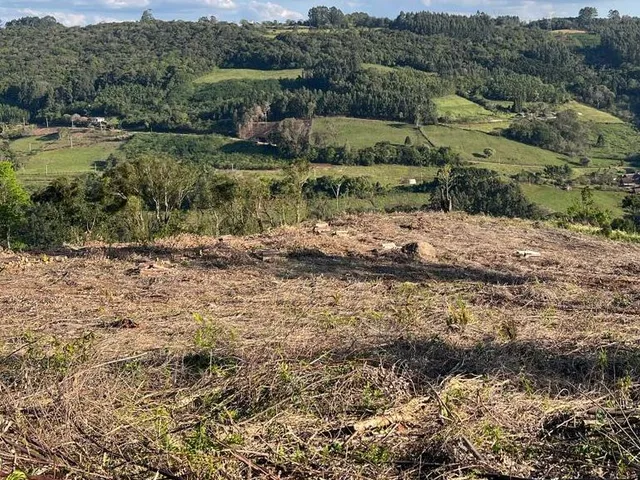 Imagem: Chácara em Pinhal Alto / Cód AGP-001