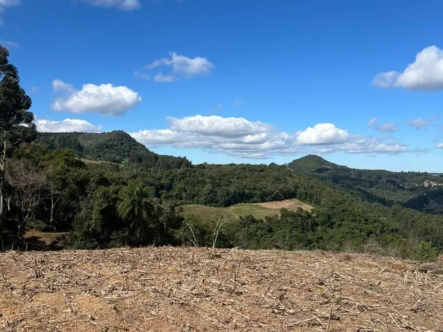 Imagem 10: Chácara em Pinhal Alto / Cód: AGP-001 - Chácara em Pinhal Alto / Cód: AGP-001