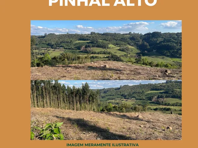 Imagem 3: Chácara em Pinhal Alto / Cód: AGP-001 - Chácara em Pinhal Alto / Cód: AGP-001