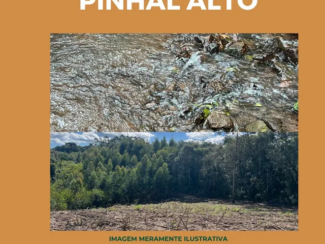 Imagem 4: Chácara em Pinhal Alto / Cód: AGP-001 - Chácara em Pinhal Alto / Cód: AGP-001