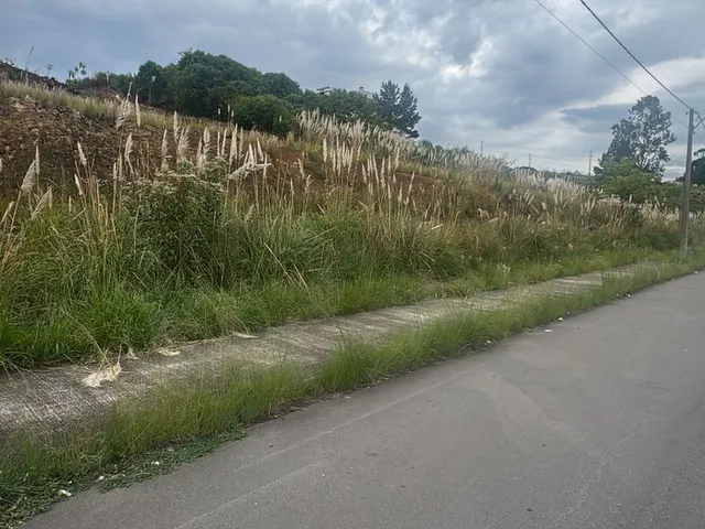 Imagem 16: 4 Lotes no Loteamento Reserva Toscana - 4 Lotes no Loteamento Reserva Toscana