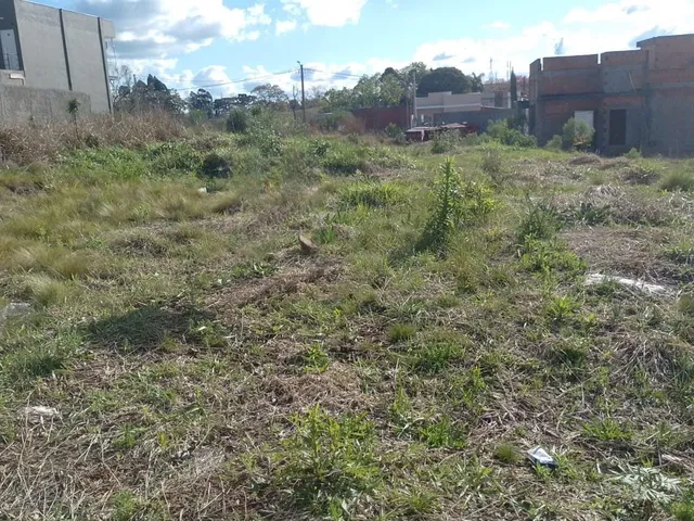 Imagem 8: Casa Térrea No Alto Das Figueiras - Casa Térrea no Alto das Figueiras