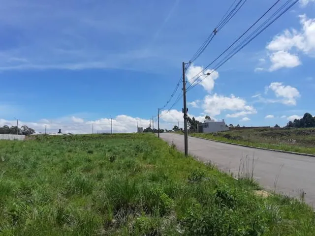 Imagem: Terreno no Loteamento Felicità - Terreno