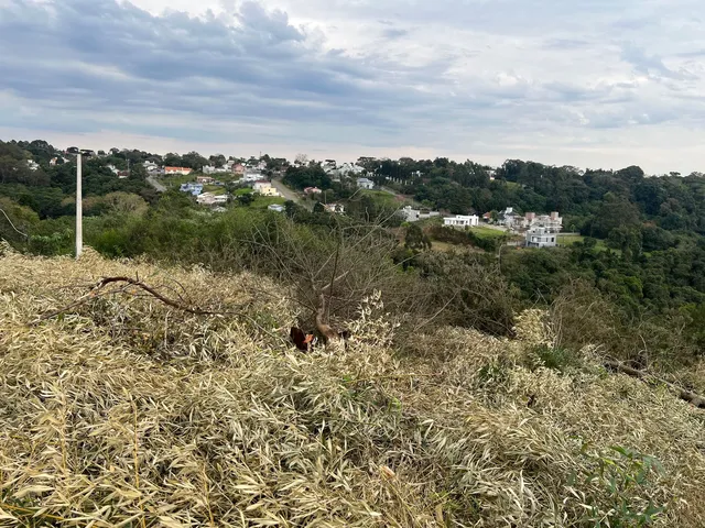 Imagem 9: Copat II - Terreno à venda no bairro Planalto - Bento Gonçalves/RS