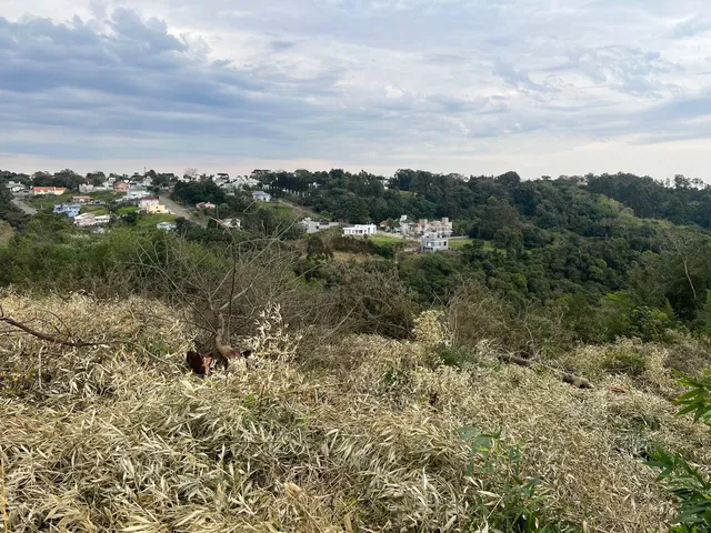 Imagem 8: Copat II - Terreno à venda no bairro Planalto - Bento Gonçalves/RS