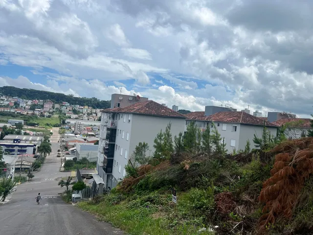 Imagem 4: Bertolini - Bertolini