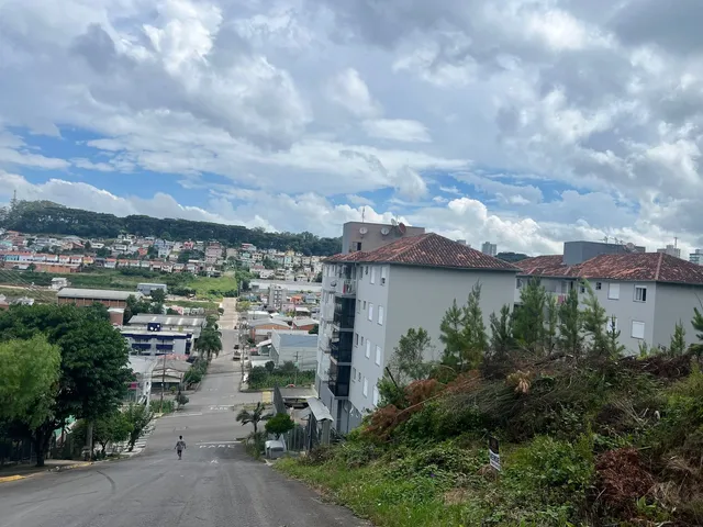 Imagem 6: Bertolini - Bertolini