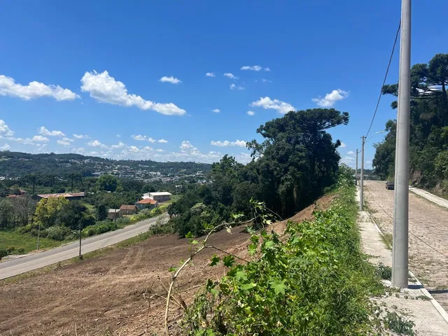 Imagem 14: Chesini - Terrenos a Venda - Chesini - Terrenos a Venda