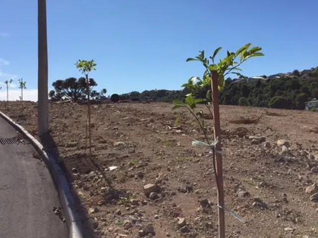Imagem 1: Menegotto - Terreno À Venda no Bairro santa Marta - Bento Gonçalves/Rs