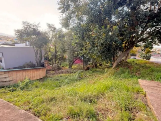 Imagem: Lote Rua Cerro Azul - Lote Rua Cerro Azul