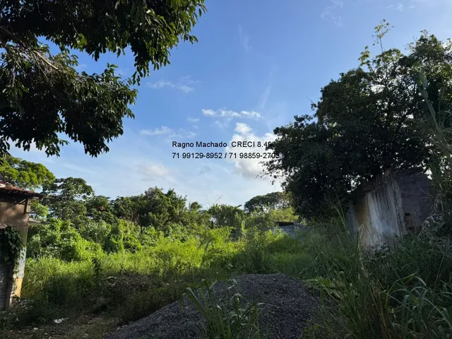 Imagem: TERRENO COMERCIAL em CAMAÇARI - BA, VILA
