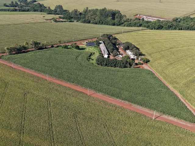 Imagem: ÁREA RURAL PRODUTIVA GRANJA DE SUÍNOS