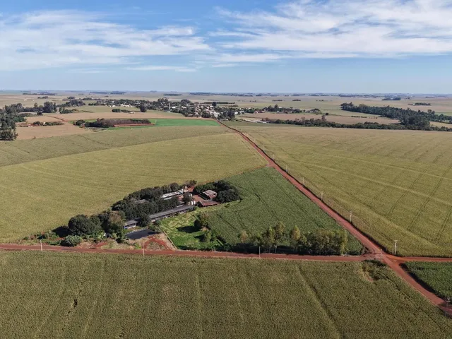 Imagem 2: Área Rural Produtiva | Granja de Suínos | 1,8 Alqueires