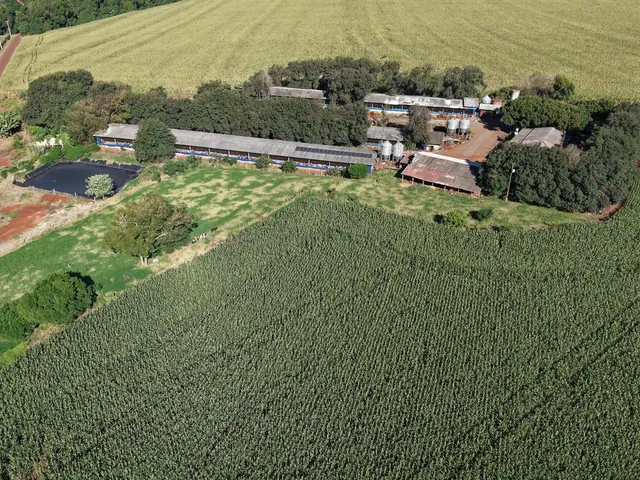 Imagem 3: Área Rural Produtiva | Granja de Suínos | 1,8 Alqueires