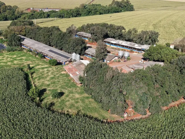 Imagem 4: Área Rural Produtiva | Granja de Suínos | 1,8 Alqueires