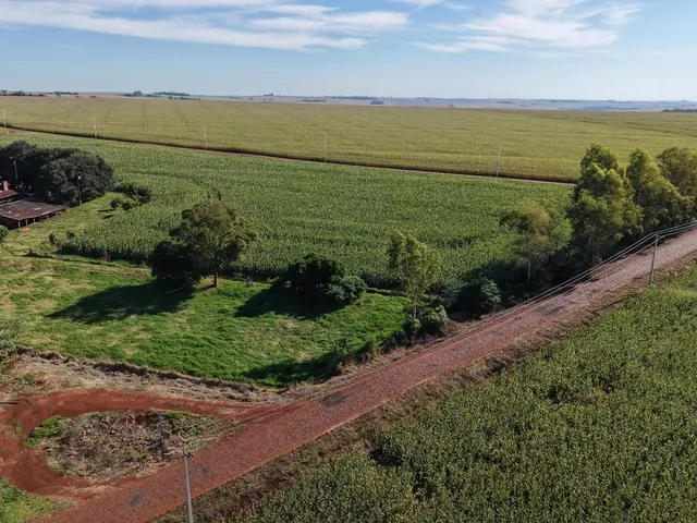 Imagem 6: Área Rural Produtiva | Granja de Suínos | 1,8 Alqueires