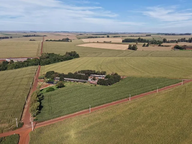 Imagem 7: Área Rural Produtiva | Granja de Suínos | 1,8 Alqueires