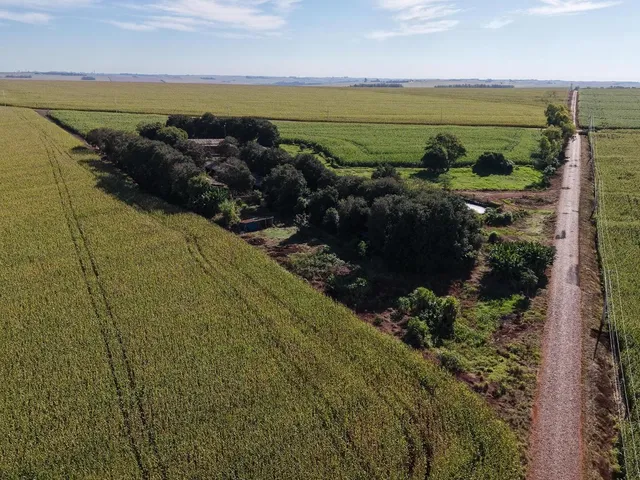 Imagem 9: Área Rural Produtiva | Granja de Suínos | 1,8 Alqueires