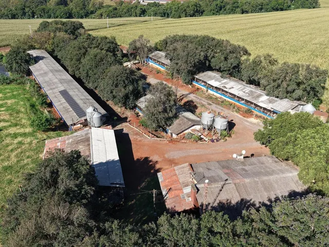 Imagem 11: Área Rural Produtiva | Granja de Suínos | 1,8 Alqueires