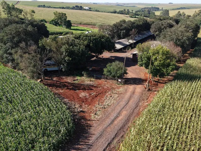 Imagem 12: Área Rural Produtiva | Granja de Suínos | 1,8 Alqueires